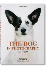 The Dog in Photography 1839-Today wer. angielska