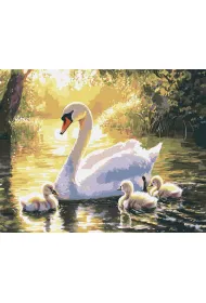 Ideyka Malowanie po numerach - Wieczorne p�ywanie 40x50cm