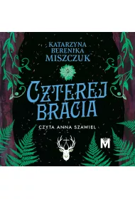Audiobook Czterej bracia. Kwiat paproci. Tom 6.5 mp3