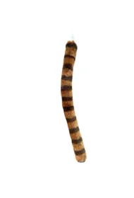 Dubi Ogon pandy czerwonej 60cm