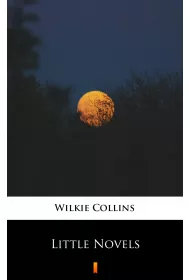 eBook Little Novels mobi epub