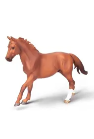 Ogier Phar Lap ma�ci kasztanowej