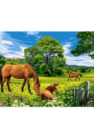 Koh-I-Noor Malowanie po numerach - Konie na ��ce 40x50cm