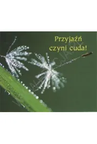 Przyja�� czyni cuda. Pere�ka 140