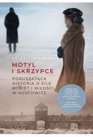Motyl i skrzypce