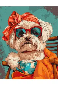 Ideyka Malowanie po numerach - Stylowy Shih tzu 40x50cm