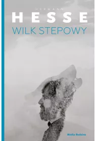 Wilk stepowy