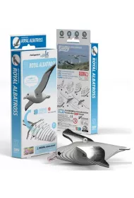 Albatros kr�lewski Eugy. Eko Uk�adanka 3D
