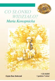 Co s�onko widzia�o (audiobook) CD