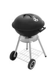 Fieldmann Grill wglowy FZG 1009 z pokryw