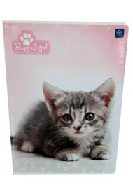 Interdruk Zeszyt A5 Purry linia 32 kartki
