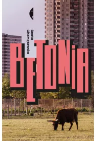 Betonia. Dom dla ka�dego