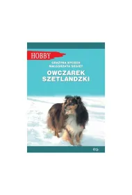 Owczarek szetlandzki