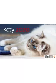 Kal 2020 Biurkowy Koty