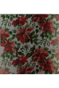 Paw Serwetka BN Decor cocktail Glory poinsettia 25x25 20szt./op.