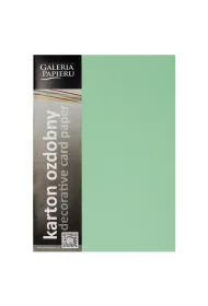 Argo Karton ozdobny A4 G�adki 210g 20 szt.