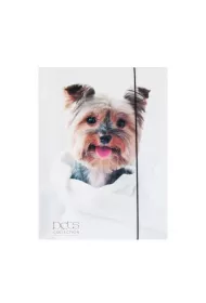 Pan Dragon Teczka A4 z gumk� Pets-12