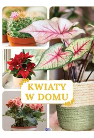 Kwiaty w domu