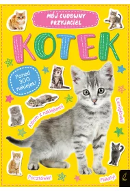 M�j cudowny przyjaciel. Kotek
