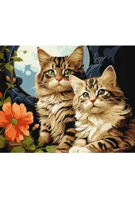 Ideyka Malowanie po numerach - Magiczne koci�ta 40x50cm