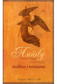 Anioy. Pomocnicy Boga, przyjaciele ludzi