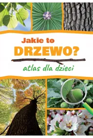Jakie to drzewo? Atlas dla dzieci
