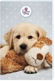 Beniamin Notes A6 30 kartek z poddrukiem Sweet Pets