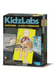 Anatomia - klatka piersiowa (M113.3373) % BPZ * 4M