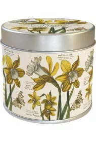 Skona Ting Zapachowa �wieczka 236 �onkile - zapach cytrynowy 205 g