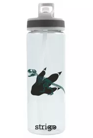 Strigo Bidon z serii Dinozaur 600 ml