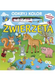 Zwierzta. Odkryj kolor