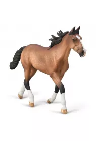 Collecta. Ogier Standardbred Pacer ma�ci gniadej