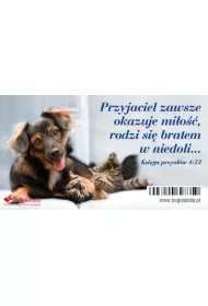 Bogulandia Magnes na lod�wk� - Przyjaciel zawsze okazuje?