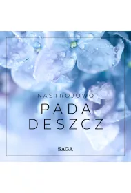 Audiobook Nastrojowo - Pada deszcz mp3