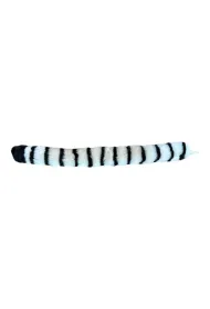 Dubi Ogon lemura 60cm