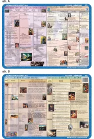 Visual System Podk�adka edukacyjna. Literatura. Wsp�czesno��