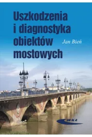 Uszkodzenia i diagnostyka obiekt�w mostowych