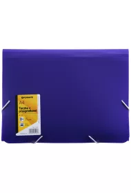 Penmate Teczka z 13-ma przegr�dkami A4 PP-104 fioletowa