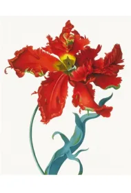 Museums & Galleries Karnet z kopert� Parrot Tulip 17 x 24 cm