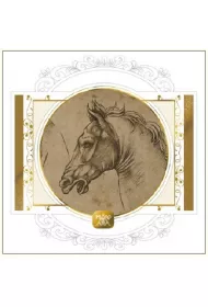 DaVinci Karnet + koperta Ko� szkic 16 x 16 cm