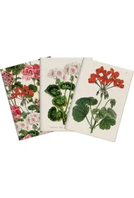 Skona Ting Stone 501 Zestaw 3 notatnik�w A6 - pelargonia