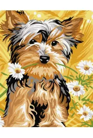 Twoje Hobby Malowanie po numerach - S�odki pies 40x50cm
