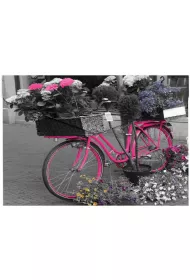 Panta Plast Koperta A4 na nap� z nadrukiem Bike