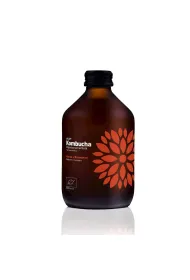 Vigo Yoko Kombucha z malin� i rozmarynem 330 ml Bio