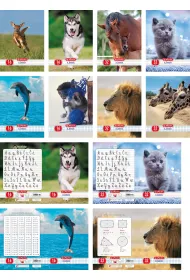 Herlitz Zeszyt A5 Animals kratka 16 kartek