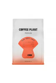 Coffee Plant Kawa ziarnista Flow Juicy Fruit Filter 250 g
