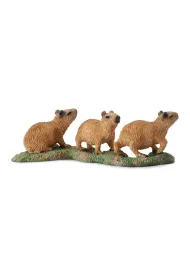 Collecta. M�ode kapibary