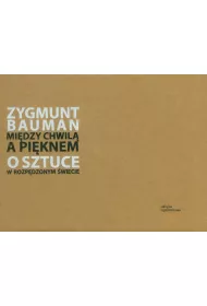 Mi�dzy chwil� a pi�knem o sztuce w rozp�dzonym �wiecie