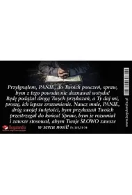 Magnes na lod�wk�. Przylgn��em, Panie, do Twoich poucze�, spraw, bym z tego powodu nie doznawa� wstydu! B�d� pod��a� drog� Twych przykaza�, a Ty daj mi, prosz�, ich lepsze zrozumienie. Naucz mnie Panie dr�g swojej �wi�to�ci, bym przykaza� Twoich przestrze