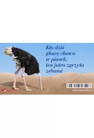 Bogulandia Magnes na lod�wk� - Kto dzi� g�ow� chowa w piasek?